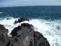 azzo-20110227 059